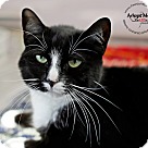 WCHS 11 14sunlight_c