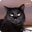 WCHS 11 21mitchell_c