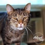 WCHS 10 16giovanni_c